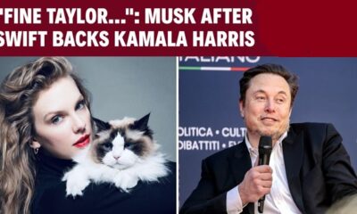 Elon Musk and Taylor Swift