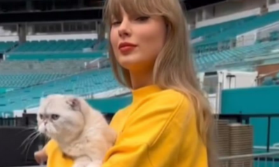 Taylor Swift’s Cat Olivia Joins Her for a Cuddly Moment at Eras Tour