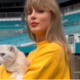 Taylor Swift’s Cat Olivia Joins Her for a Cuddly Moment at Eras Tour