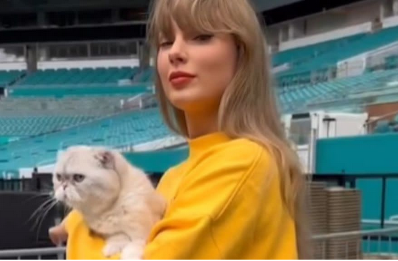 Taylor Swift’s Cat Olivia Joins Her for a Cuddly Moment at Eras Tour