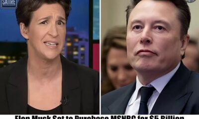 Maddow and Elon Musk