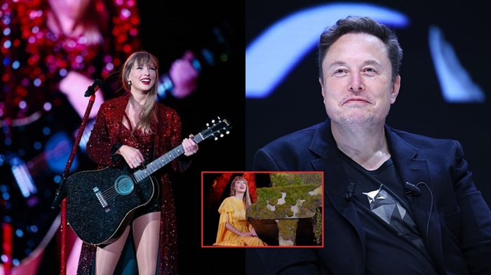 Taylor Swift at Era Tour and Elon Musk