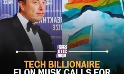 Elon Musk on flag